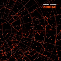 Amedeo Tommasi - Zodiac vinyl cover