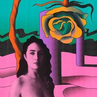 Ameli in the Woods - Throw My Fears Into The River vinyl cover