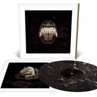 AMENRA - De Toorn vinyl cover