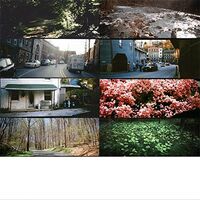 American Pleasure Club - A Whole Fucking Lifetime Of This vinyl cover