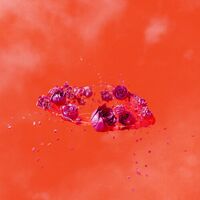 Ami Dang - Living World's Demands vinyl cover