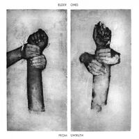 Amirtha Kidambi & Elder Ones - From Untruth vinyl cover