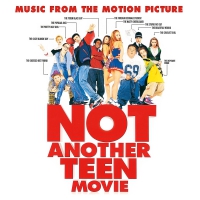 Amit Trivedi - Not Another Teen Movie Soundtrack vinyl cover
