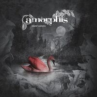 Amorphis - Silent Waters vinyl cover