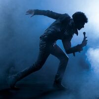 Amos - Imperator Of Pop vinyl cover