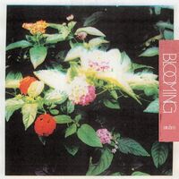 Amulets - Blooming vinyl cover