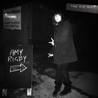Amy Rigby - The Old Guys vinyl cover
