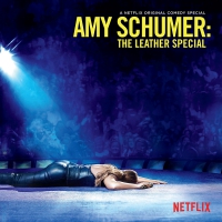 Amy Schumer - The Leather Special vinyl cover
