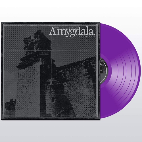 Amygdala - Our Voices Will Soar Forever vinyl cover