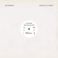 Ana Roxanne - Because Of A Flower vinyl cover