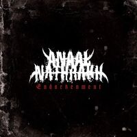 Anaal Nathrakh - Endarkenment vinyl cover