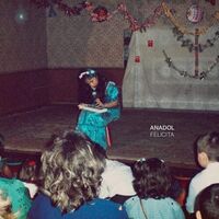 Anadol - Felicita vinyl cover