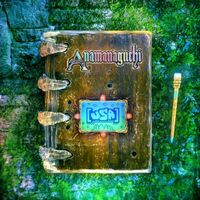 Anamanaguchi - Usa vinyl cover