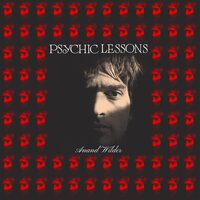 Anand Wilder - Psychic Lessons vinyl cover
