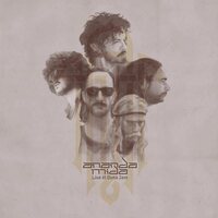 Ananda Mida - Live at Duna Jam (Purple) vinyl cover