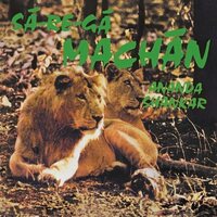 Ananda Shankar - SA-Re-Ga Machan vinyl cover