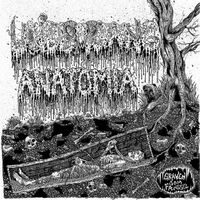 Anatomia - Split vinyl cover