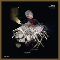Andre Fernandes - Kinetic vinyl cover