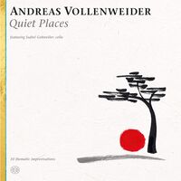 Andreas Vollenweider - Quiet Places vinyl cover