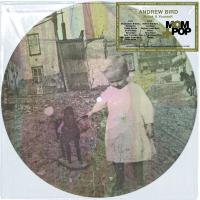 Andrew Bird - Break It Yourself Picture vinyl cover
