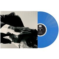 Andrew Bird - Inside Problems (Sky Blue) vinyl cover