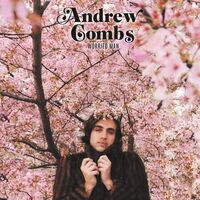 Andrew Combs - Worried Man vinyl cover
