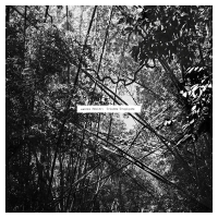 Andrew Pekler - Tristes Tropiques vinyl cover