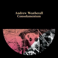 Andrew Weatherall - Consolamentum vinyl cover