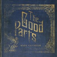 Andy Grammer - The Good Parts vinyl cover