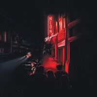 Andy Shauf - Neon Skyline vinyl cover