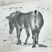 Andy Stott - It Should Be Us vinyl cover