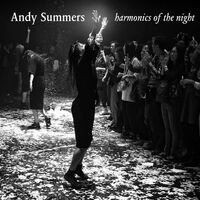 Andy Summers - Harmonics Of The Night vinyl cover