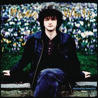 Andy White - Destination Beautiful (Bluebell) vinyl cover