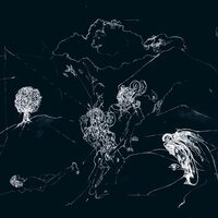 Anenon - Dream Temperature vinyl cover