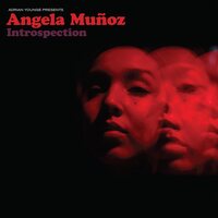 Angela Munoz - Adrian Younge Presents: Angela Munoz vinyl cover