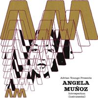 Angela Munoz - Introspection vinyl cover