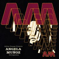 Angela Munoz - Introspection vinyl cover