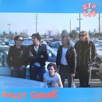 Angry Samoans - Stp Not Lsd vinyl cover