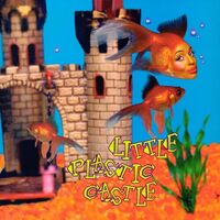 Ani Difranco - Little Plastic Castle (Orange)