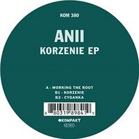Anii - Korzenie Ep vinyl cover