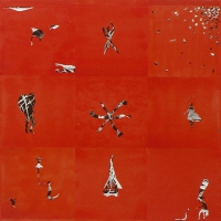 Animal Collective - Hollindagain vinyl cover