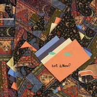 Animal Collective - Isn't It Now? vinyl cover