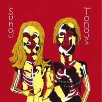 Animal Collective - Sung Tongs vinyl cover