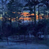 Animal Hospital - Shelf Life vinyl cover