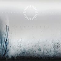 Animals As Leaders - Weightless vinyl cover
