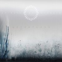 Animals As Leaders - Weightless vinyl cover