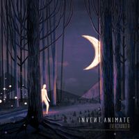 Animate Invent - Everchanger (Clear) vinyl cover