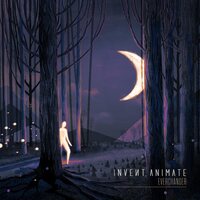 Animate Invent - Everchanger (Equinox Edition) vinyl cover