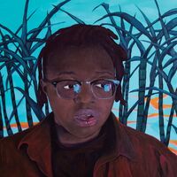 Anjimile - Giver Taker vinyl cover