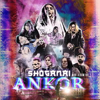 Ankor - Shoganai vinyl cover